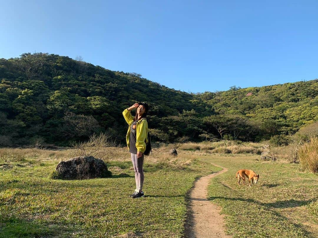 大久保麻梨子さんのインスタグラム写真 - (大久保麻梨子Instagram)「登山してきました。自然に触れると免疫力が高まるそう。毎日ニュースを目にすると気持ちが滅入りそうになりますが、そんな時こそ楽しい気持ちでいることを心がけて過ごしたいと思います。 台湾にはすぐそこに大自然を感じられる場所がたくさんあるのも魅力です！  天氣舒服說走就走登山去！ 賺到美好風景和清新空氣，心情好起來，免疫力也一定會提升吧✌🏻 台灣真的是寶島呢✨ ............................................................................................................... #hiking #taiwan #taiwantravel #taiwanmountain #taiwantrip  #mountains #mountainview #mountainclimbing #mountainclimbers #登山 #登山好き #登山女子 #登山初心者 #登山好きな人と繋がりたい #登山が好き #山登り #爬山 #野外 #運動 #健身 #健身女孩 #自然 #自然が好き #自然好き #自然大好き #アウトドア #アウトドア好き #台湾 #アウトドア女子 #山」2月25日 19時09分 - marilog0907