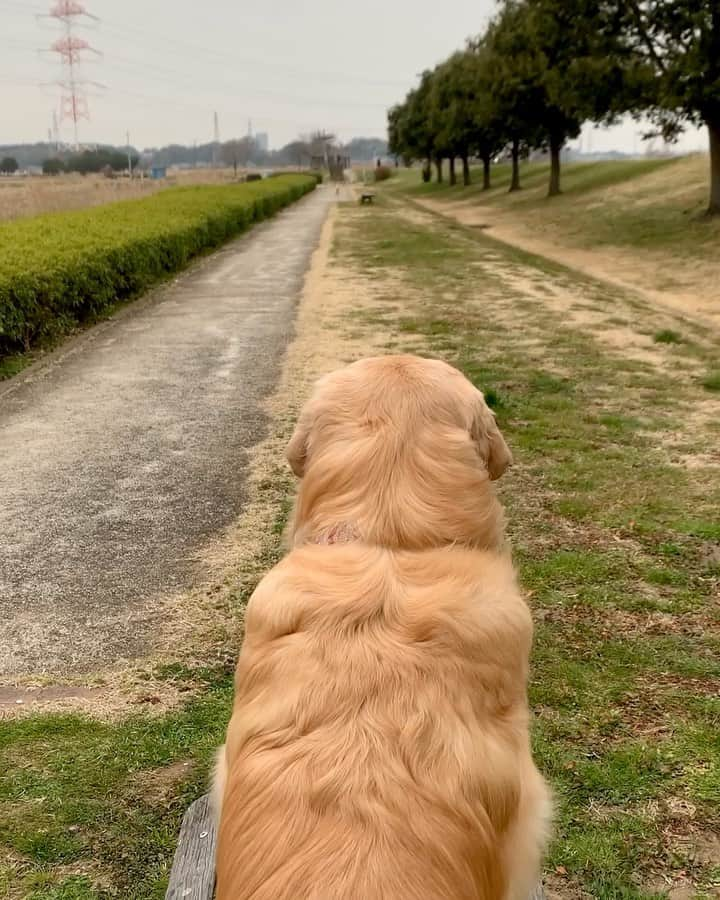 まゆみのインスタグラム