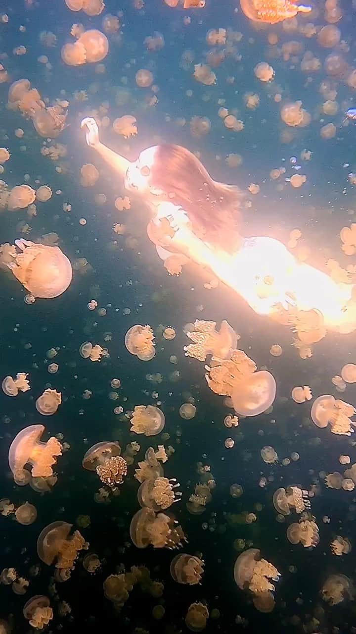 Manamiのインスタグラム：「ㅤ まるで宇宙を泳いでるみたいな場所🥺 パラオに行くならここはマスト✨ 神秘的で可愛くて、心が洗われるような 不思議な空間🏵🏵🏵 ㅤ 📸 @gopro @goprojp」