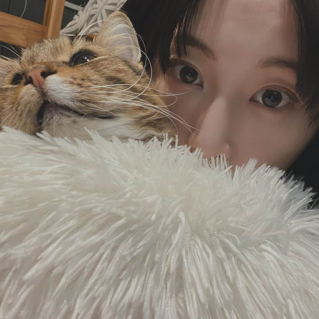 松井玲奈さんのインスタグラム写真 - (松井玲奈Instagram)「戯れ」2月25日 20時43分 - renamatui27