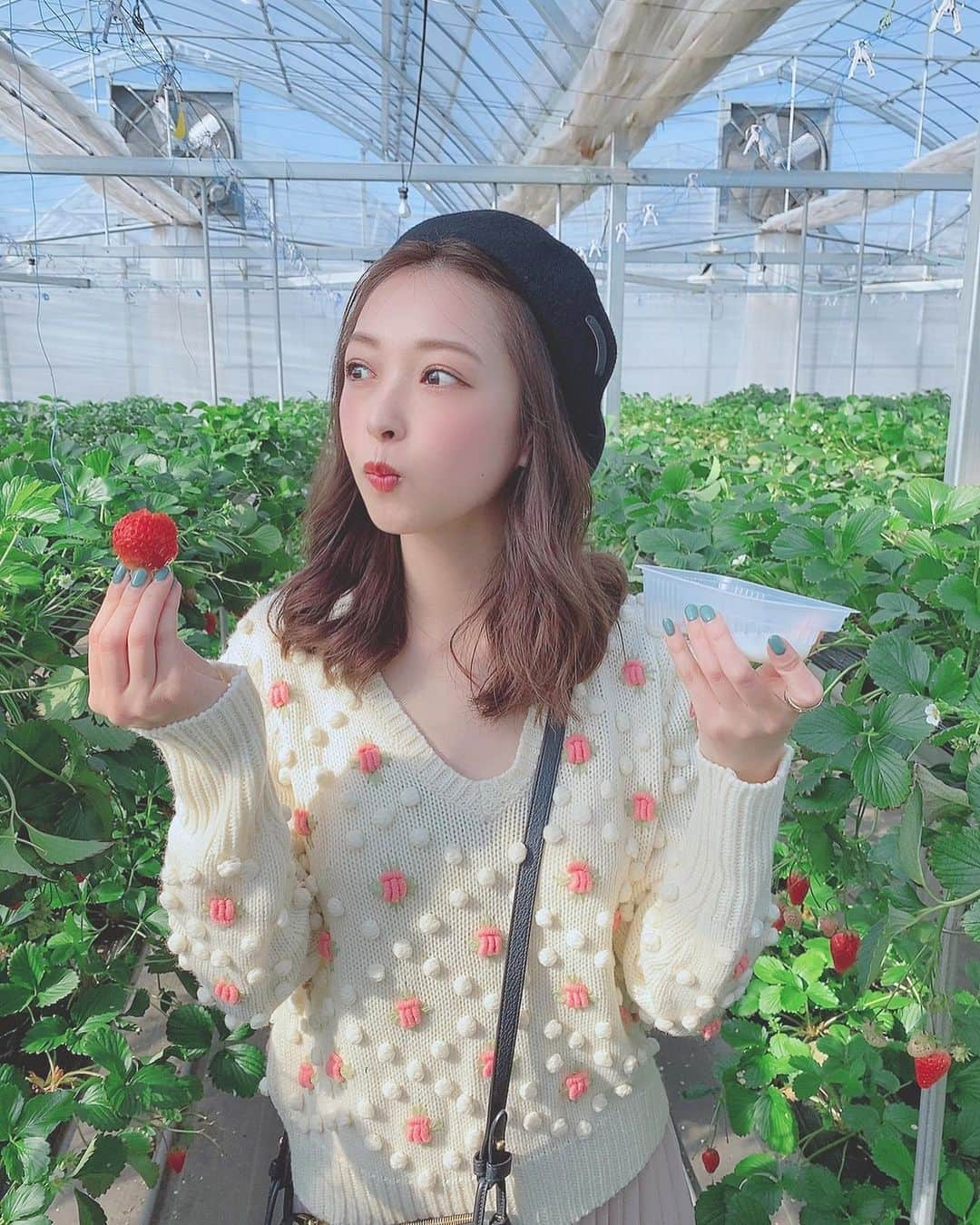 山内遥さんのインスタグラム写真 - (山内遥Instagram)「. .  大満足のいちご狩り〜😋🍓💕 摘みたてが甘くてつい食べすぎた！ シャトー勝沼でワインの試飲も...🍇🍷 . .  #いちご狩り#山梨fujiフルーツパーク」2月25日 21時15分 - haruka__yamauchi