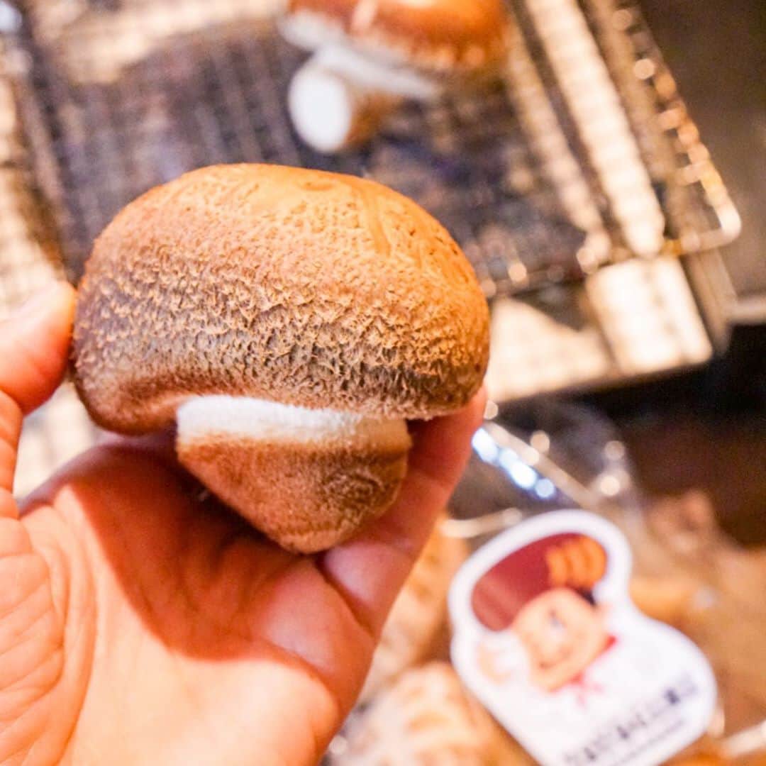 Chiharu Ko8yacさんのインスタグラム写真 - (Chiharu Ko8yacInstagram)「○トヨチーニの網焼き○ ・ 肉豆腐 トヨチーニの網焼き 白菜とツナの煮込み 胡瓜のお漬物 お豆さん ・ 帰宅すると#トヨチーニ　が届いていた。先日行ったレストランでいただいて衝撃を受けた大分の原木椎茸トヨチーニ。インスタ経由で速攻注文😂 どうですかこのプリプリのフォルム♡ ・ 今夜はとりあえず卓上網焼きで。強火でサッと焼いて塩でうすくち醤油で(´ڡ`) 主役の肉豆腐を食う存在感でした。 明日はパン粉でフライにしてみようかな🤤 ・ さつきちゃんのおかげでお家でも食べられたよ。ありがとう🥰 #晩酌#晩ごはん#おうちごはん #うちごはん #椎茸#原木椎茸#トヨチーニ#shiitakemushrooms#焼き椎茸#網焼き」2月25日 21時12分 - ko8yac