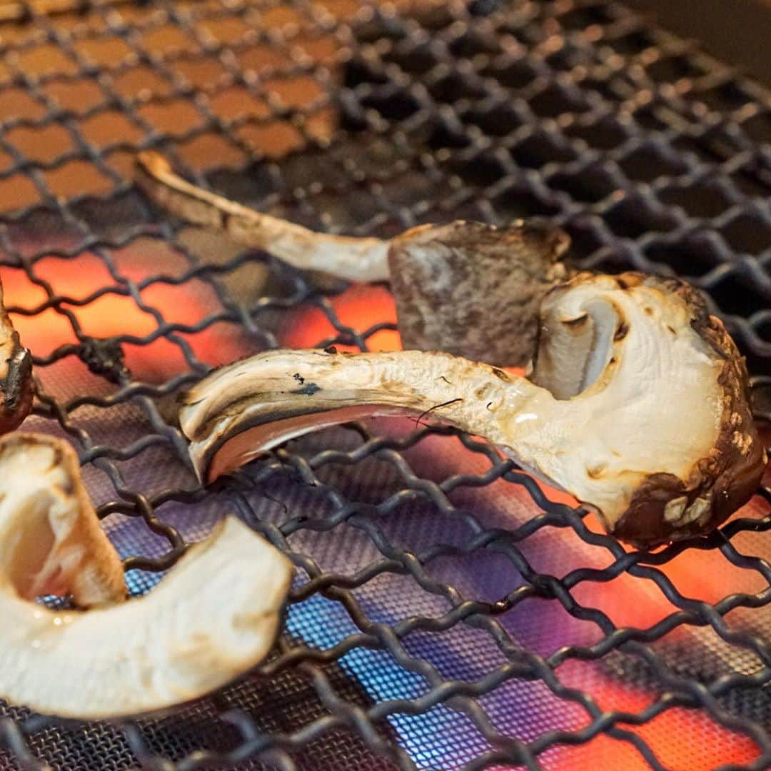 Chiharu Ko8yacさんのインスタグラム写真 - (Chiharu Ko8yacInstagram)「○トヨチーニの網焼き○ ・ 肉豆腐 トヨチーニの網焼き 白菜とツナの煮込み 胡瓜のお漬物 お豆さん ・ 帰宅すると#トヨチーニ　が届いていた。先日行ったレストランでいただいて衝撃を受けた大分の原木椎茸トヨチーニ。インスタ経由で速攻注文😂 どうですかこのプリプリのフォルム♡ ・ 今夜はとりあえず卓上網焼きで。強火でサッと焼いて塩でうすくち醤油で(´ڡ`) 主役の肉豆腐を食う存在感でした。 明日はパン粉でフライにしてみようかな🤤 ・ さつきちゃんのおかげでお家でも食べられたよ。ありがとう🥰 #晩酌#晩ごはん#おうちごはん #うちごはん #椎茸#原木椎茸#トヨチーニ#shiitakemushrooms#焼き椎茸#網焼き」2月25日 21時12分 - ko8yac