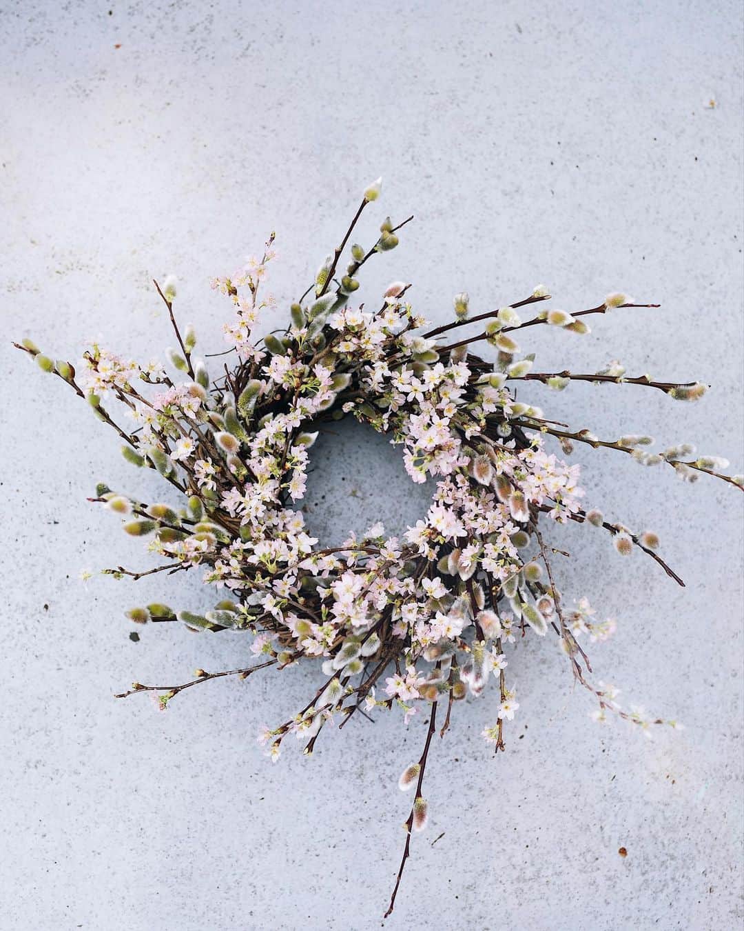 増田由希子さんのインスタグラム写真 - (増田由希子Instagram)「Sakura wreath. 🌸 #freshflowers #sakura #wreath #cherryblossom #springwreath  満開の桜をリースに仕立てました #桜　#リース #桜のリース」2月25日 21時20分 - nonihana_