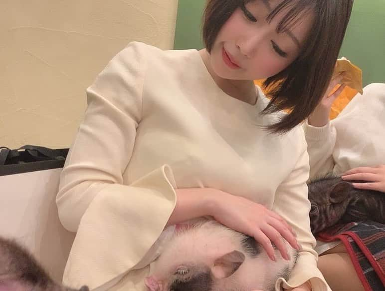 古河由衣さんのインスタグラム写真 - (古河由衣Instagram)「今日はあしゃみん、日向ちゃんのisグラビアンズで 森下悠里さんの 娘さんお誕生日パーティ🎂in子ブタカフェ💓  憧れの悠里さんに会えて嬉しい😭 私がグラビアを始めるきっかけになった大先輩 可愛くて優しくて、セクシーで上品で☺️ なんとっ✨ 私に似合いそう！って 悠里さんからお洋服までいただき👗🥺 ありがとうございました💓💞 由衣おねえさん幸せです✨  会場の子ブタカフェも すっごく可愛くて🥳 ブタちゃんも人懐っこくて 膝でぐっすりすやすや。💤 可愛いなぁ😻 また遊びにいってみたいな🐷」2月25日 22時11分 - furuyuistagram