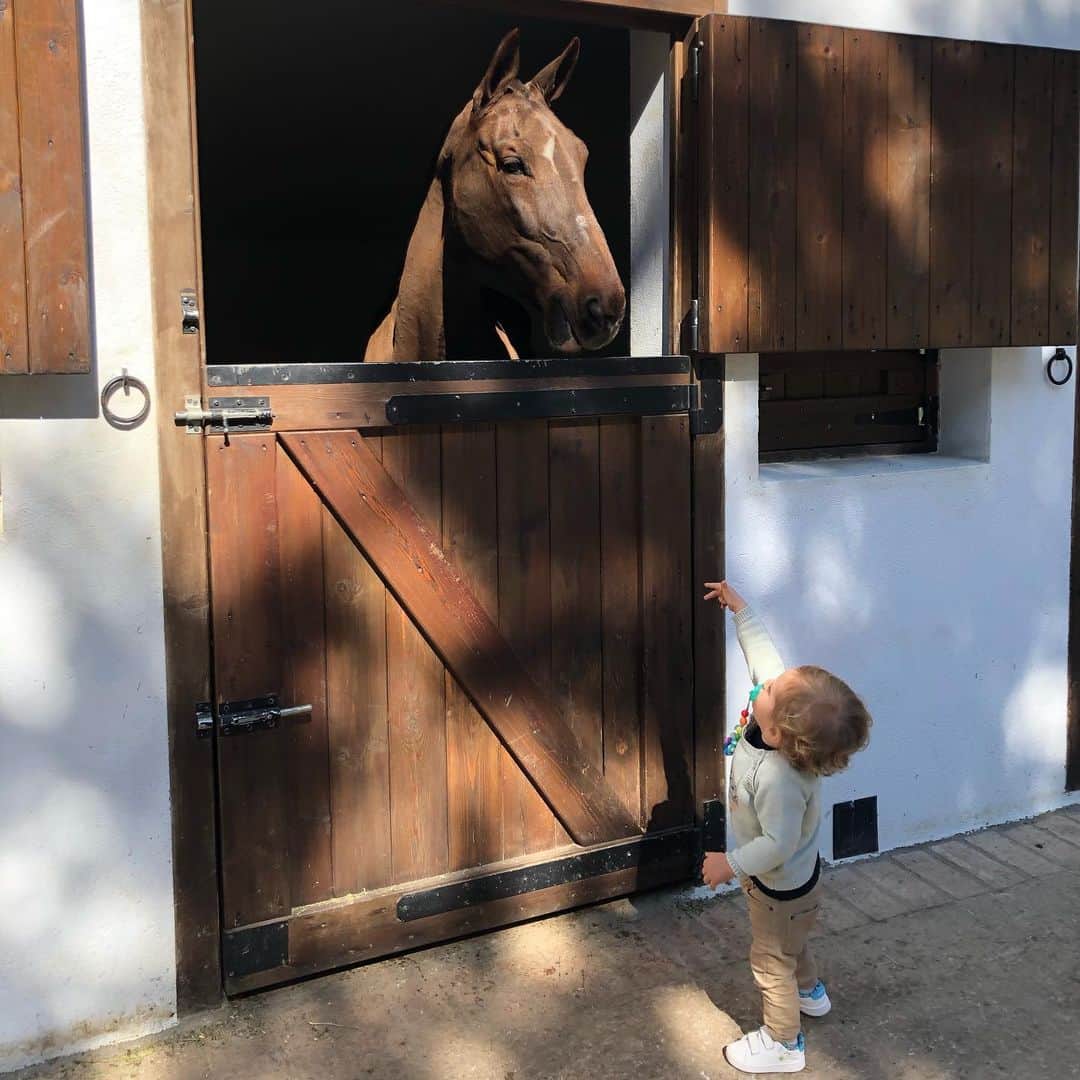 アレハンドロ・フェルナンデス・イグレシアスのインスタグラム：「🐴🐯」