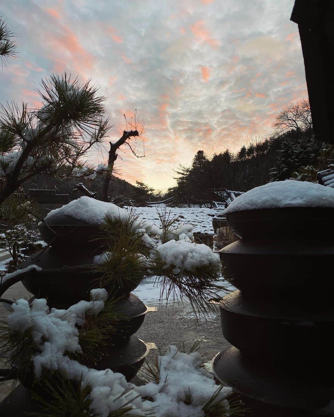 BoAのインスタグラム