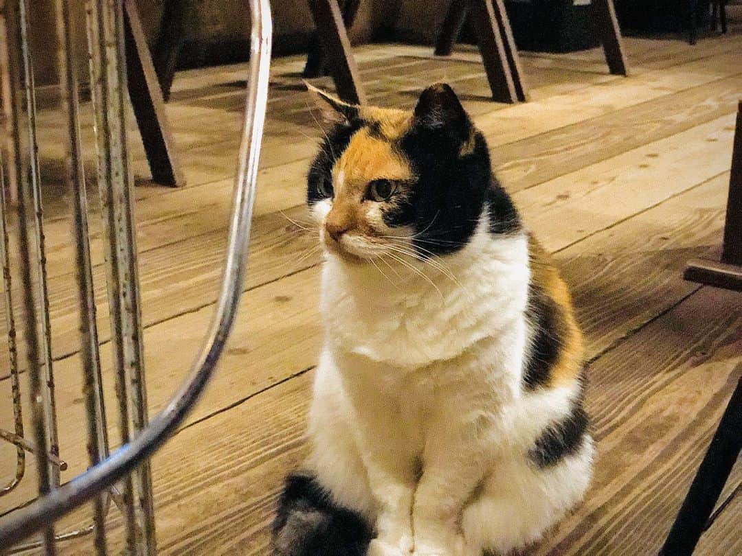 平田薫のグルメインスタ