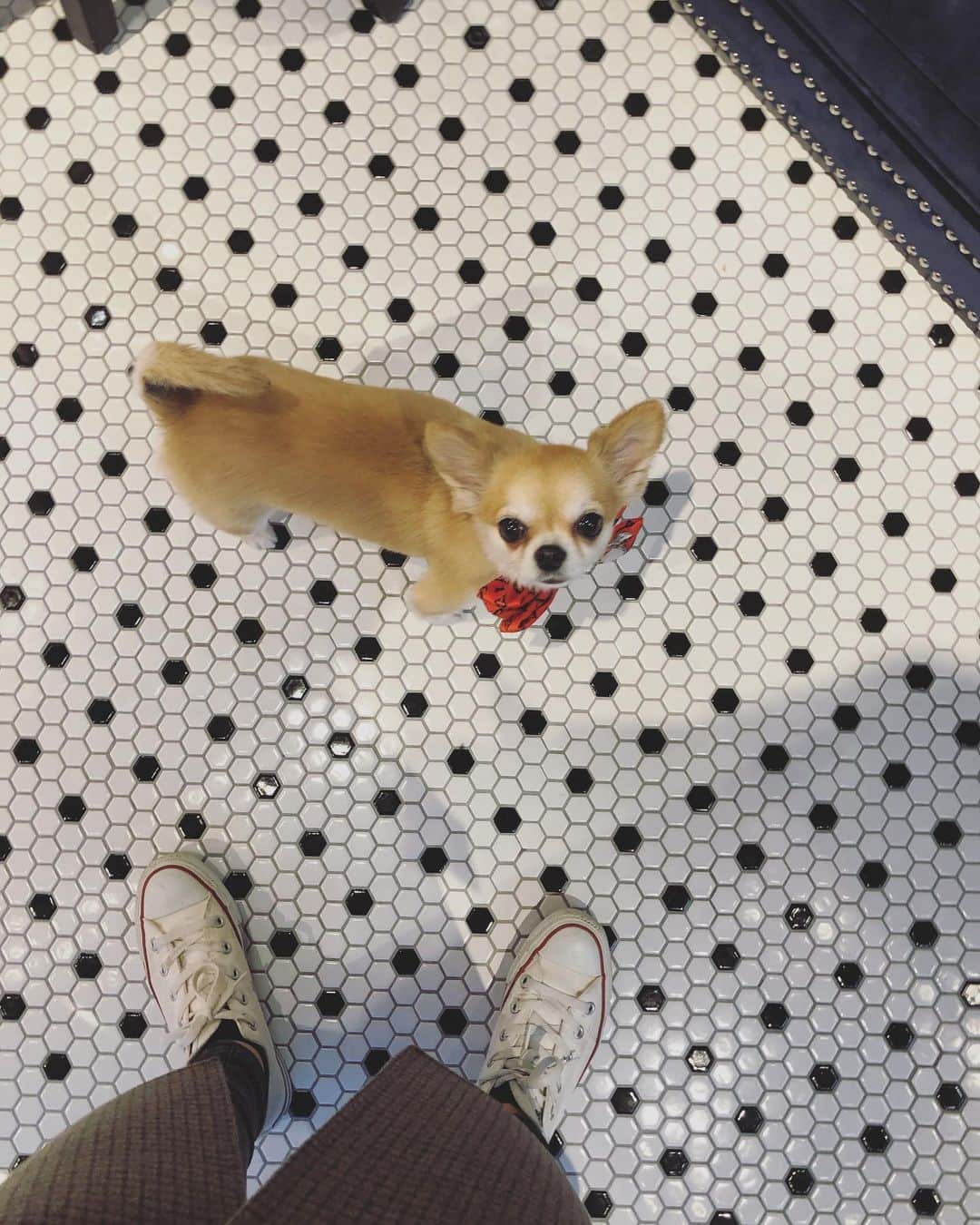 𝙺𝚢𝚘𝚔𝚘のインスタグラム