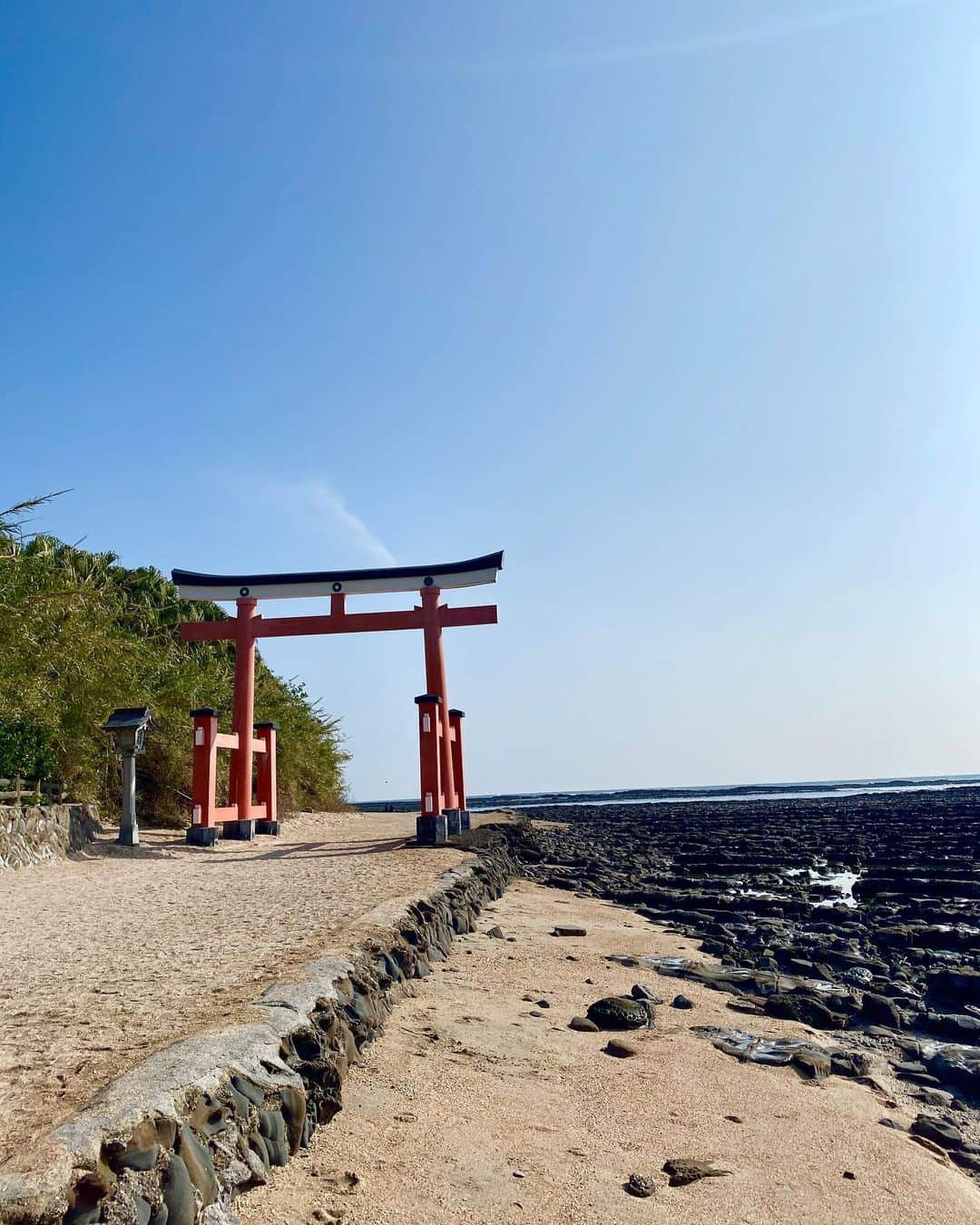 高木琢也さんのインスタグラム写真 - (高木琢也Instagram)「宮崎にきました🙋‍♂️🌴⚾️🍣 #ずっと晴れ #ずっとご飯 #宮崎 #青島神社 #巨人キャンプ #三つ星中村会⭐️」2月11日 17時34分 - takagi_ocean