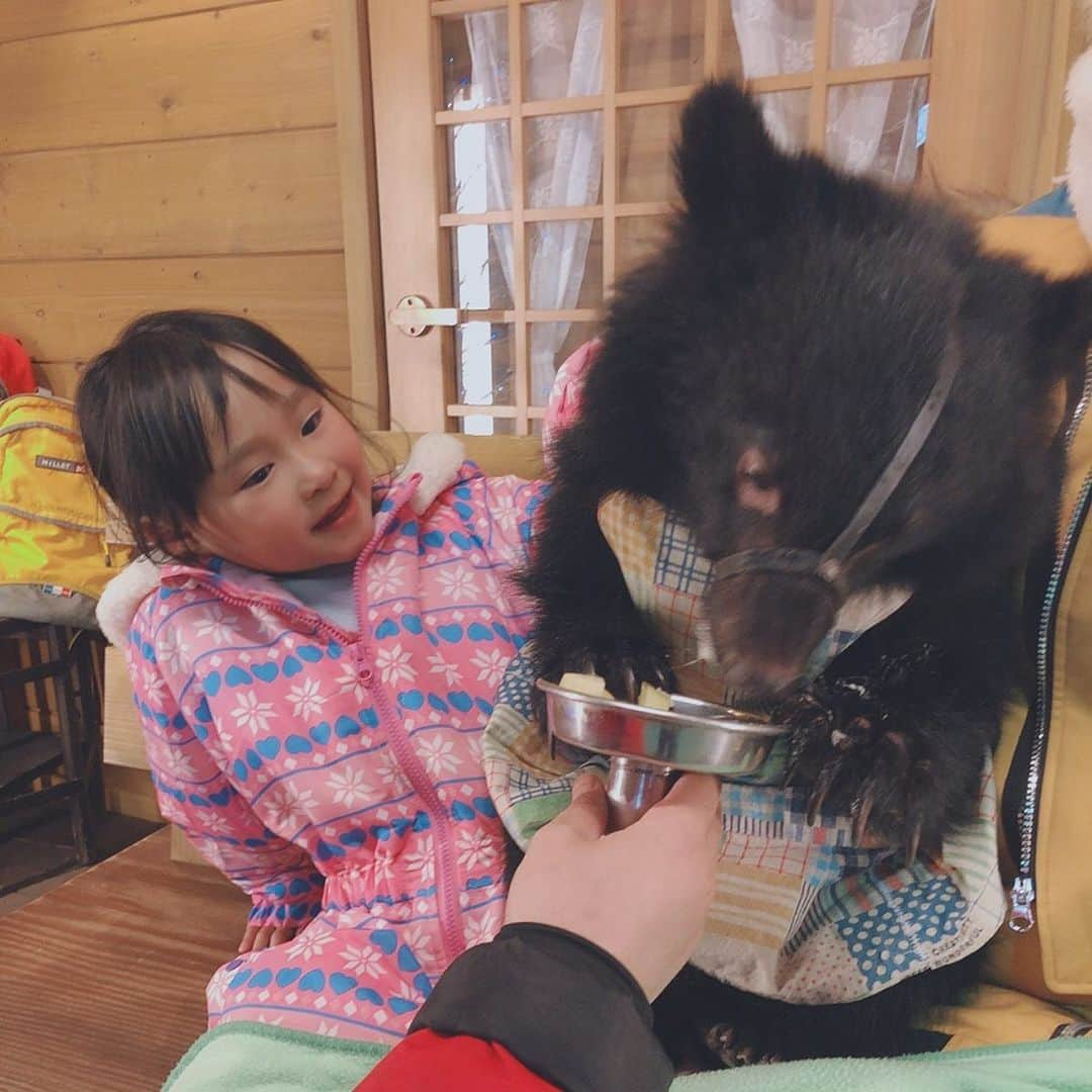 堀えりかさんのインスタグラム写真 - (堀えりかInstagram)「こぐまちゃんの抱っこは少しビビりながらも姪っ子ちゃんは動物大好きだから喜んでた🤣💓 . エサも沢山やりました🧸 .  #くま牧場 #岐阜 #高山 #奥飛騨 #くま #こぐま」2月11日 18時09分 - xerikax143