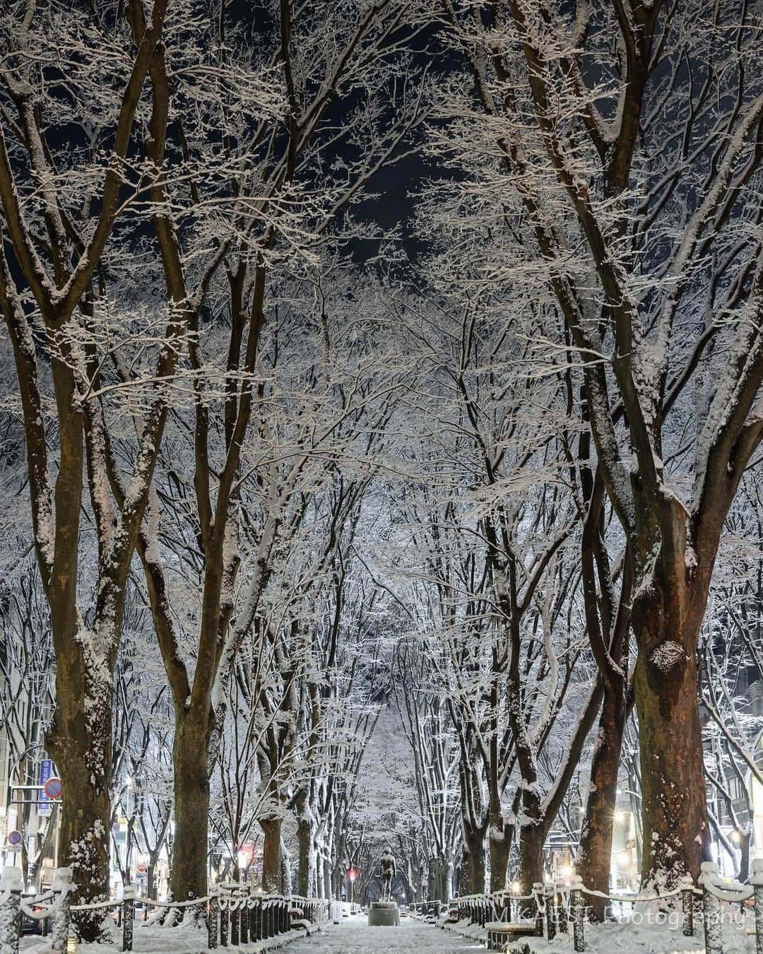 mikaestのインスタグラム：「Snow in Sendai . 昨夜は仙台で珍しく雪が積もりました☃️ 街中の木々すべてに雪がついていて、テンション上がりました🙆‍♀️ . ２ー３週間前に北海道に行っていましたが、まだ写真を仕上げていなーい😂のに、昨夜の定禅寺通りのを先にポストしてしまうという…笑 . . #HelloFrom #Miyagi #行くぜ東北 #冬のごほうびインスタキャンペーン #funfindtohoku #冬こそ宮城だっちゃ #宮城 #仙台 #定禅寺通り #雪 .」
