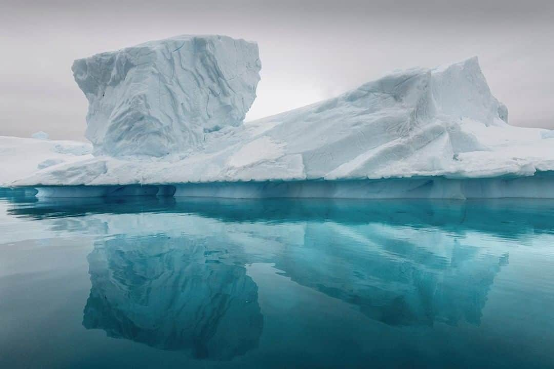 National Geographic Travelさんのインスタグラム写真 - (National Geographic TravelInstagram)「Photo by @daisygilardini | Antarctica is definitely my favorite location for iceberg photography. The incredible life cycle of an iceberg starts thousands of years before it even reaches the sea. Snow and ice form glaciers on land. Over centuries of compression and slow movement, these glaciers expand toward the open sea. Once an iceberg calves from the mother glacier, it will float on ocean currents, at the mercy of some of the most inclement weather conditions on the planet. Snow, rain, wind, violent storms, and huge waves sculpt and carve its surface into amazing shapes. The iceberg will flip upside down numerous times before disappearing into the depths of the ocean, where it starts its cycle all over again through evaporation. Follow me @DaisyGilardini for more images and stories behind the scenes. #climatechange #iceberg #polar #Antarctica #reflection」2月11日 10時04分 - natgeotravel