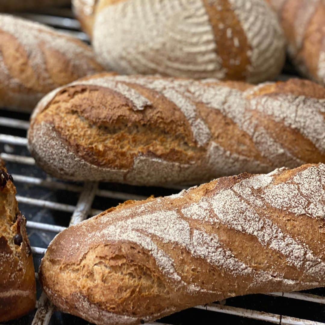 魔女菅原のグルメインスタ