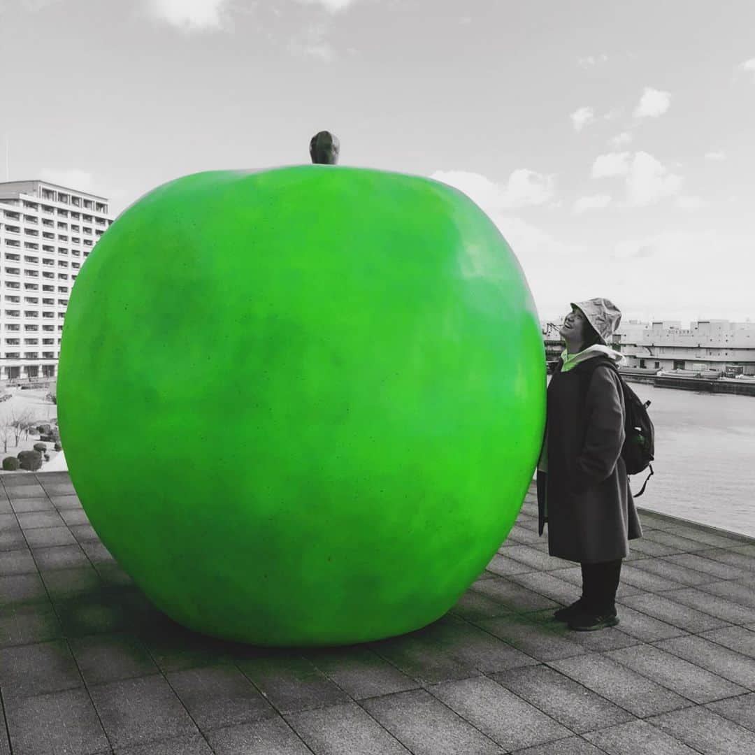 和田美枝のインスタグラム：「🍏🍏女と男ネタLIVE🍏🍏 日程：2020年3月28日(土)  16:45開場　17:00開演  会場：道頓堀ZAZA HOUSE  料金：2000円  ゲスト　プラス・マイナス  チケットよしもと0570-041-356  本日からチケット発売です💥 是非お一人様でも、お友達お誘いしてでも来て下さいねぇ〜  #女と男 #ワダちゃん #市川 #井上小公造 #プラスマイナス #青いりんご🍏 #安藤忠雄　さん」
