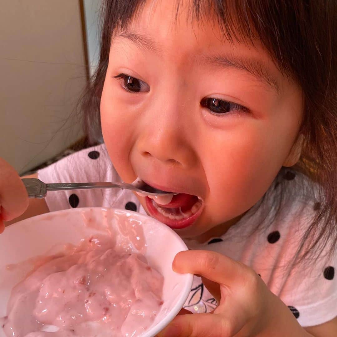 太陽チャンネルのインスタグラム：「. フルーチェ大好き女子♡ #フルーチェ #太陽チャンネル #3歳」
