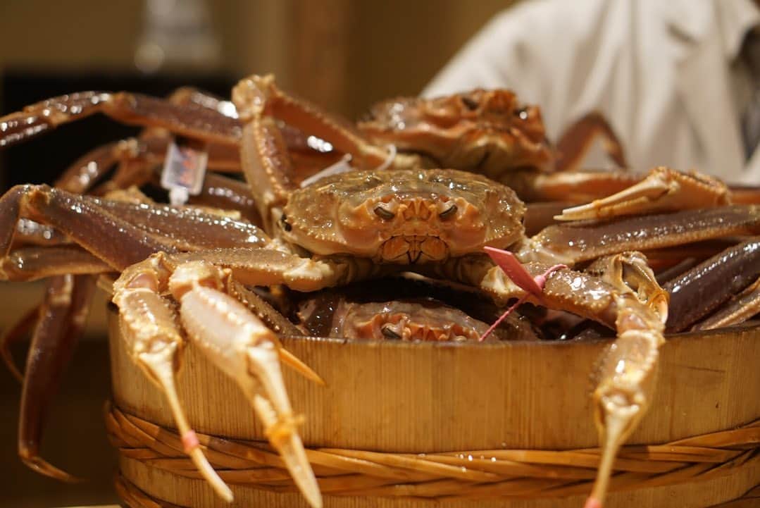 高井直子のグルメインスタ