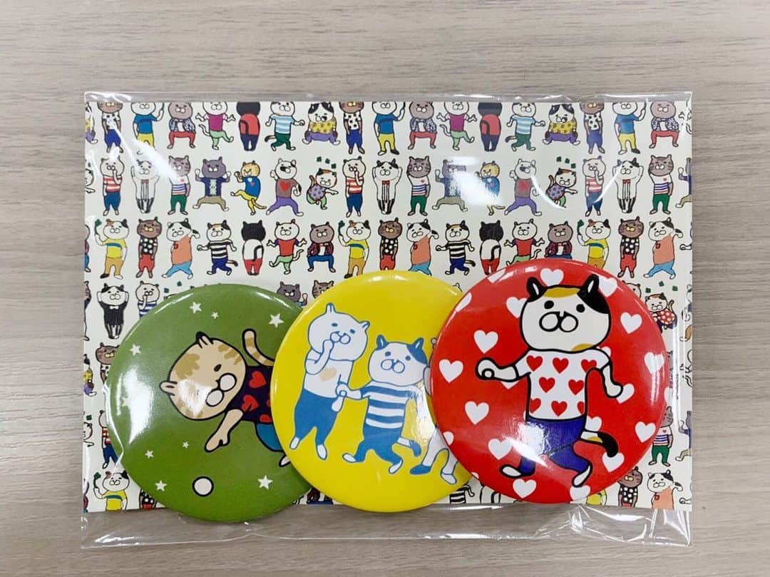 ねこのインスタグラム
