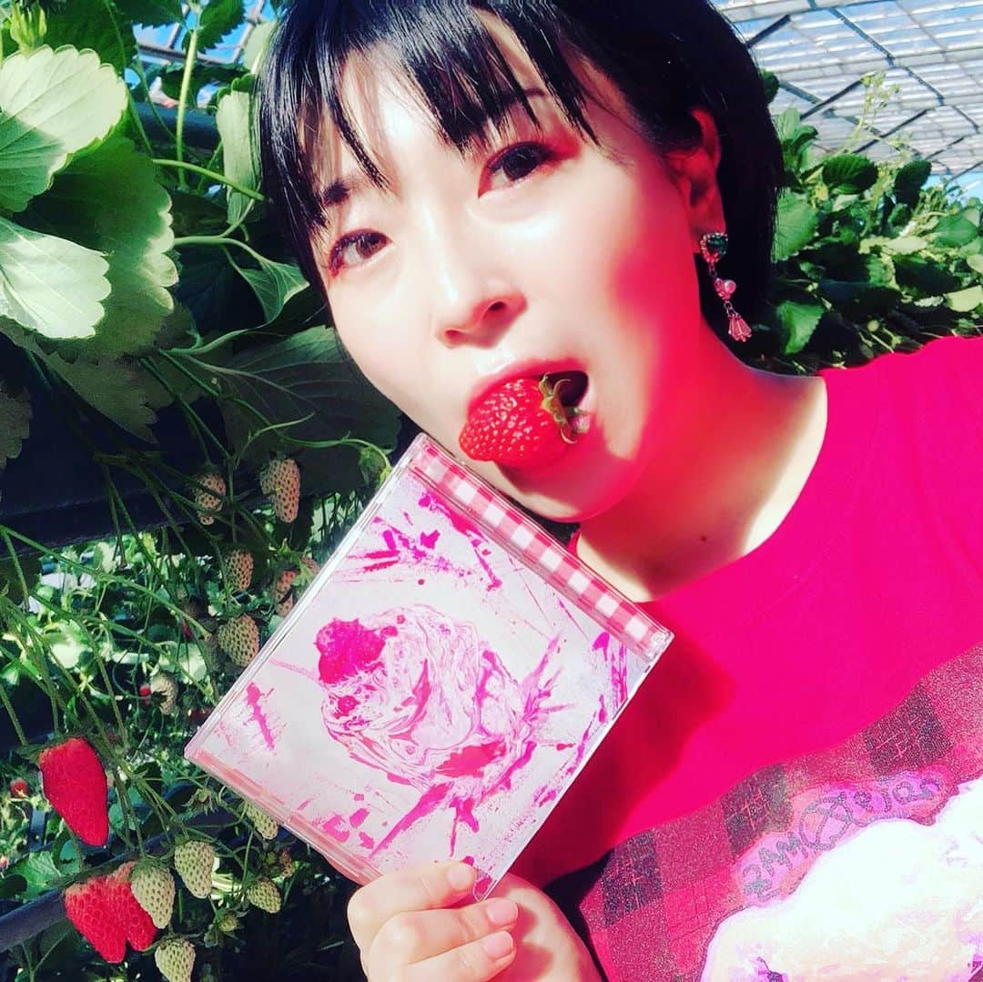 安藤あいかのインスタグラム：「いちごがり！嬉しい！いちごがり！  #紅ほっぺ #章姫 #ナナちゃんtシャツ #いちご狩りの時はいちごカラーで #大森靖子ベストアルバム #フラゲ日 #タワレコ」