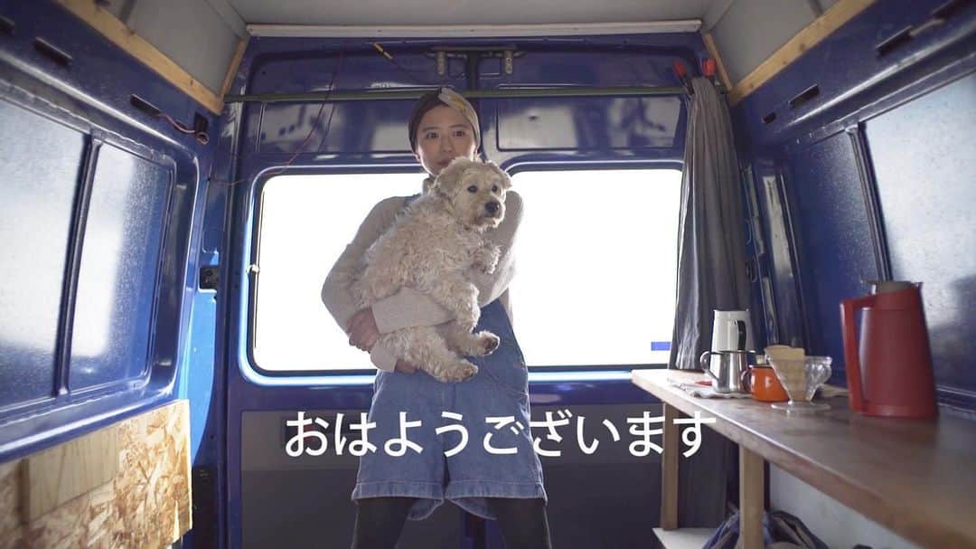 甲斐麻美のインスタグラム