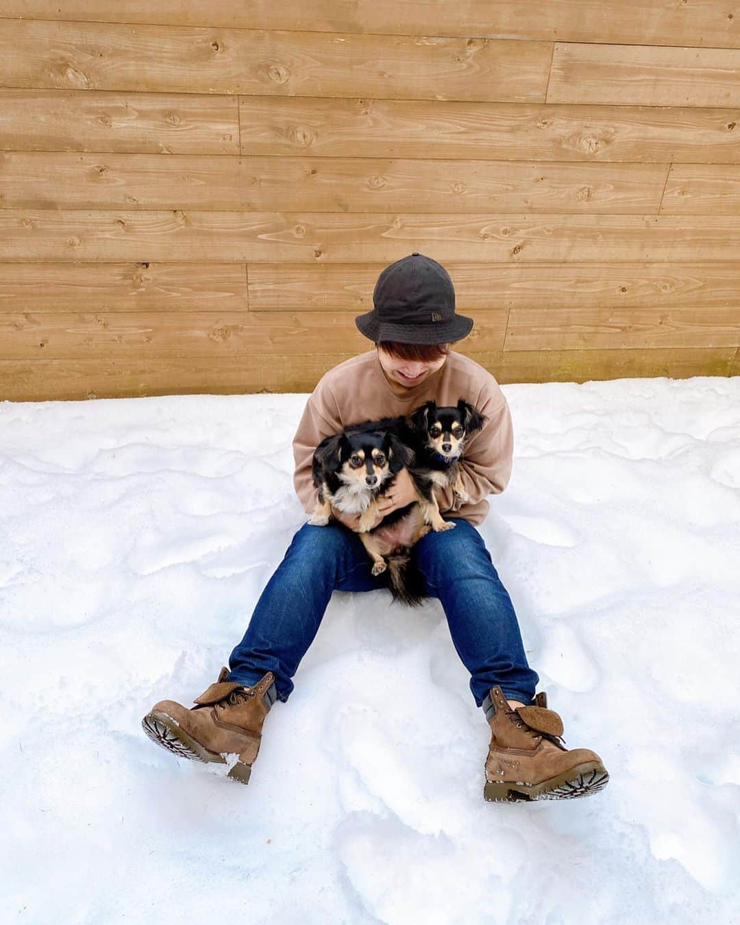 あつろーさんのインスタグラム写真 - (あつろーInstagram)「ぷくちゃんまろころと旅行🚗✨ ころは初めての雪でした！！ 動画も撮影したので後日アップ予定です♪ まろころいい顔してるよ〜☺️ ぷくちゃんもまろころにちょっかい出して遊んでましたw . #愛犬と泊まれる宿 #富士山 #まろころ」2月11日 13時49分 - atsu6u