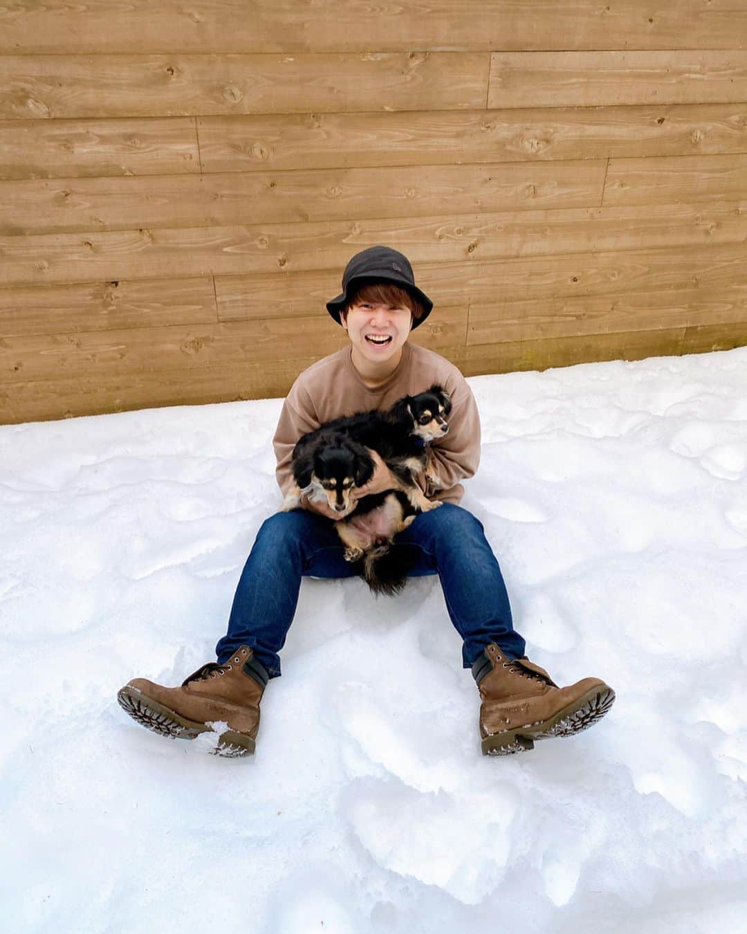 あつろーさんのインスタグラム写真 - (あつろーInstagram)「ぷくちゃんまろころと旅行🚗✨ ころは初めての雪でした！！ 動画も撮影したので後日アップ予定です♪ まろころいい顔してるよ〜☺️ ぷくちゃんもまろころにちょっかい出して遊んでましたw . #愛犬と泊まれる宿 #富士山 #まろころ」2月11日 13時49分 - atsu6u
