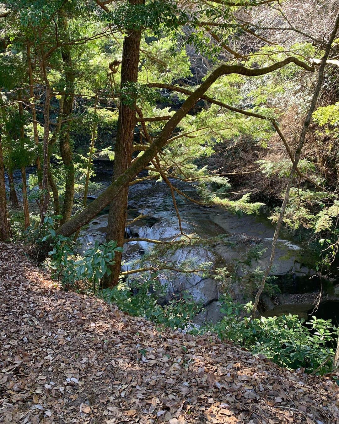 漆山凛のインスタグラム：「濃溝の滝に行きました！ この写真にハートが隠れてます。 探してみてください！」