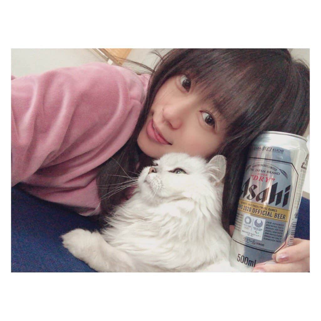 柳野玲子のインスタグラム：「乾杯🍻 #ビール #先日の #昼ビール #至福 #猫 #チンチラシルバー #すっぴん」