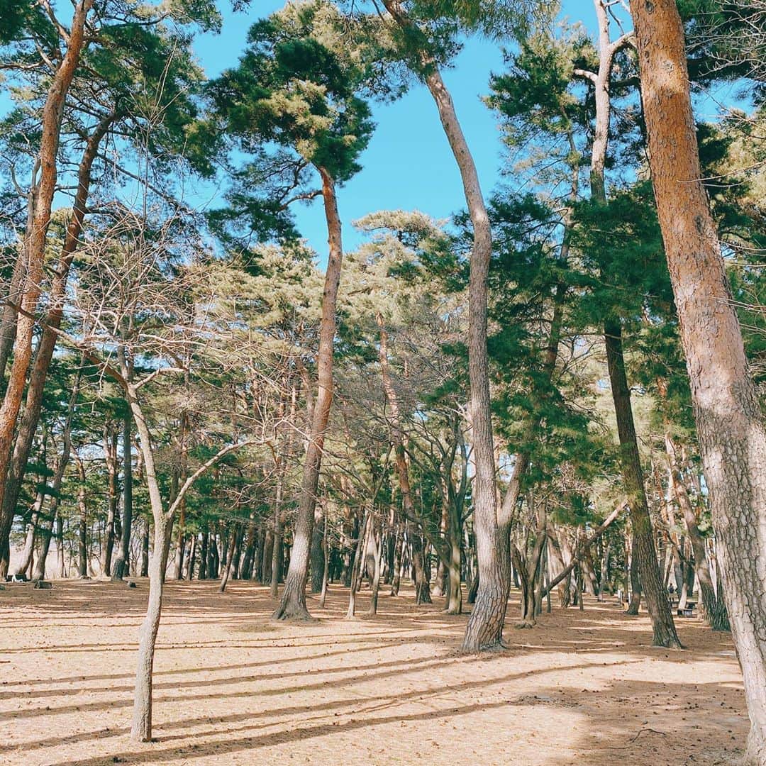チョ・テグァンのインスタグラム：「Beautiful spot #허난설헌생가 in  #강릉, Korea, 11 February 2020. ‏‏‎ ‎ ‏‏‎ ‎ ‏‏‎ ‎ ‏‏‎ ‎ ‏‏‎ ‎  나중에 가족이랑 다시 와보고 싶다. 날씨 좋은날.」