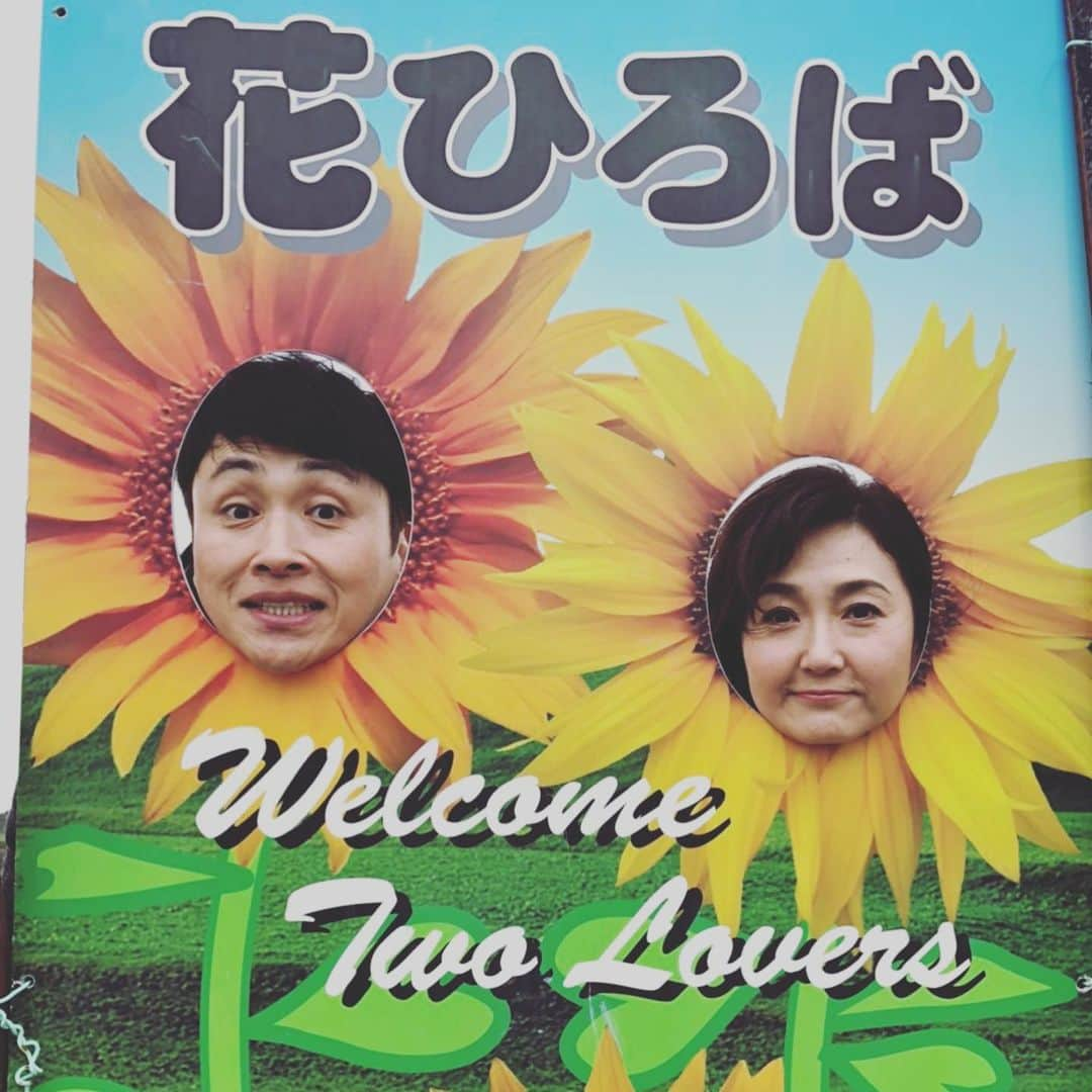 平野ノラさんのインスタグラム写真 - (平野ノラInstagram)「今朝、咲きました〜🌻🌻🌻 #スイッチ」2月11日 14時38分 - noranoranora1988