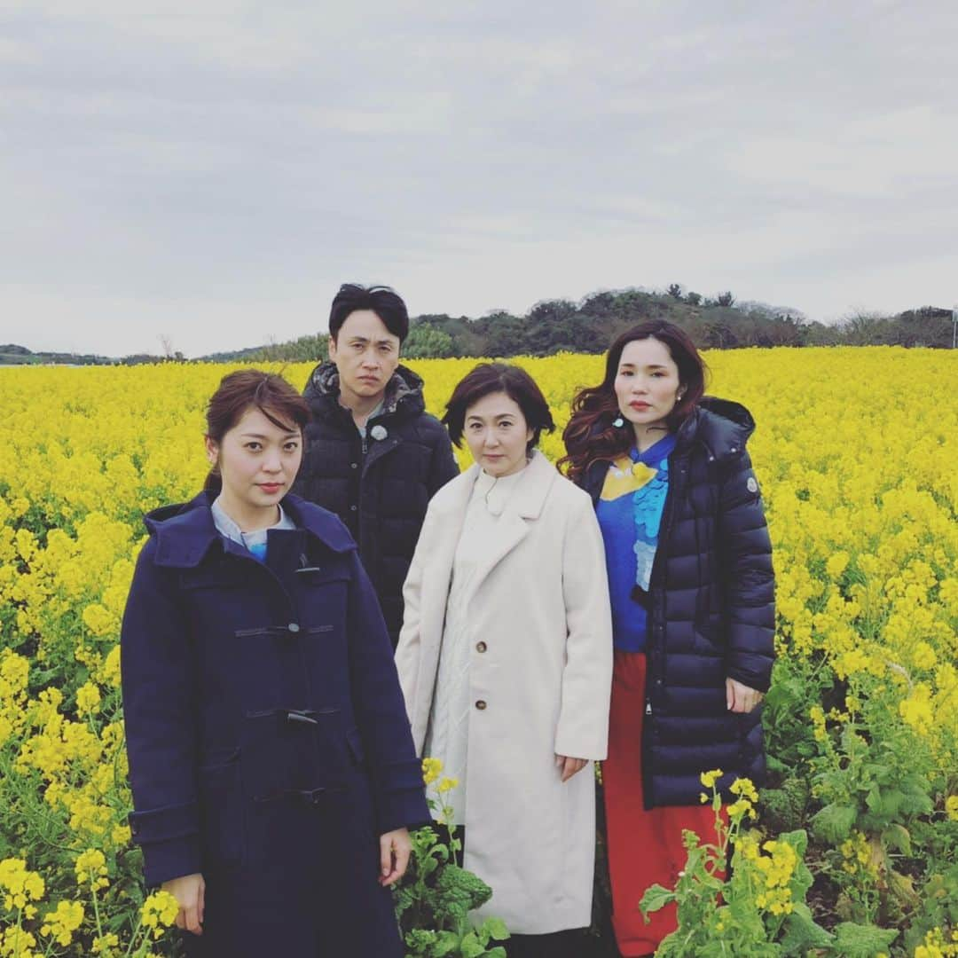 平野ノラさんのインスタグラム写真 - (平野ノラInstagram)「今朝、咲きました〜🌻🌻🌻 #スイッチ」2月11日 14時38分 - noranoranora1988