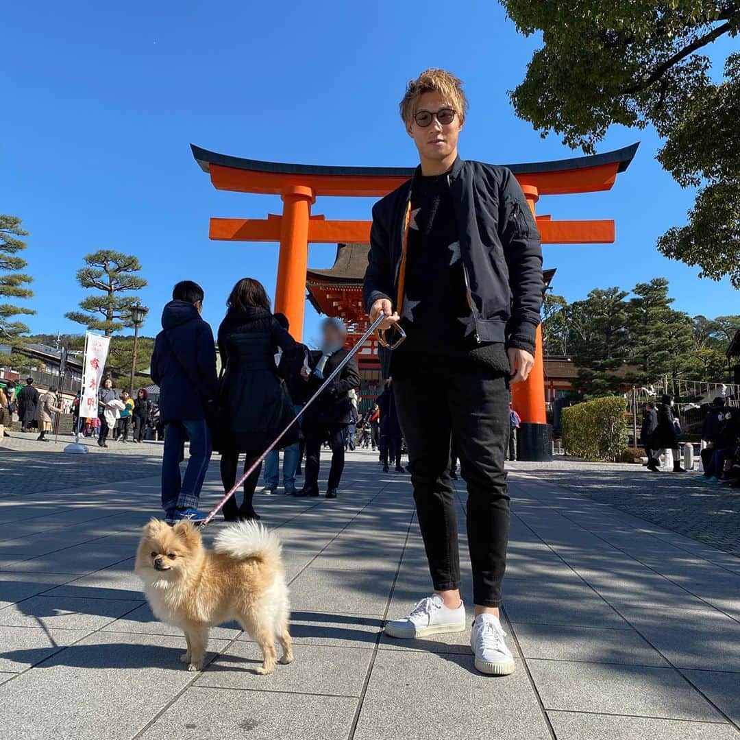 飯田貴敬のインスタグラム：「たくさんの人に可愛い可愛いされて嬉しそうでした🐶  #伏見稲荷大社  #京都 #京都に引っ越してきました #よろしくお願いしますと #伝えてきました」