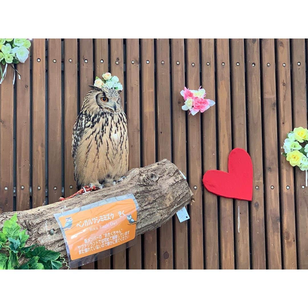 佐々木希さんのインスタグラム写真 - (佐々木希Instagram)「自分的可愛いシリーズ😍 癒されました。  #サファリパーク」2月11日 16時01分 - nozomisasaki_official
