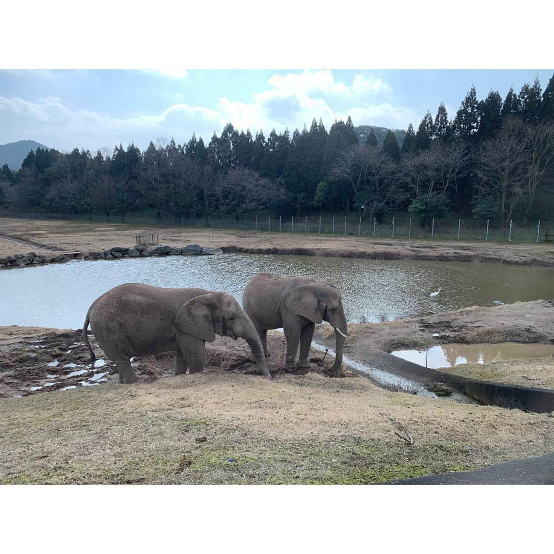 佐々木希さんのインスタグラム写真 - (佐々木希Instagram)「#サファリパーク 近くてどきどきした…」2月11日 15時59分 - nozomisasaki_official