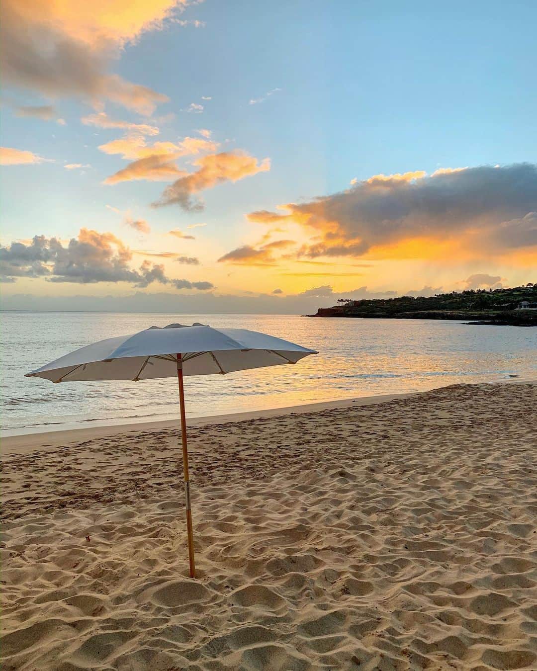 エミ・マイヤーのインスタグラム：「Paradise 🌴 my daughter has learned to say “Bye bye sun” 🥰 you never see the sun hit the horizon in Tokyo because of all the buildings 綺麗な夕陽！」