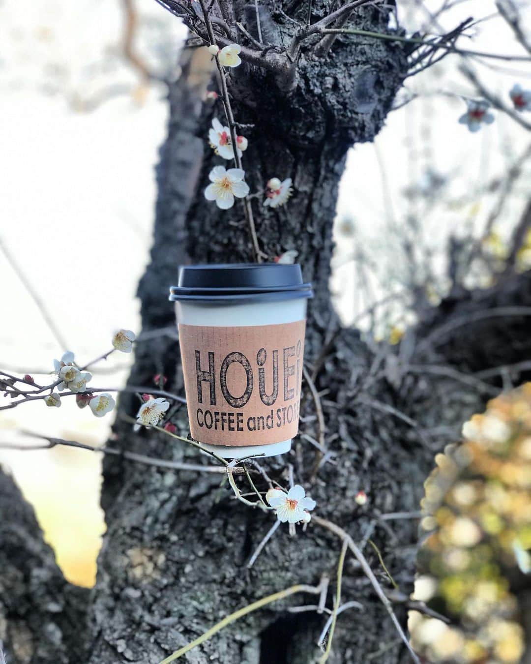 houeicoffeeのグルメインスタ