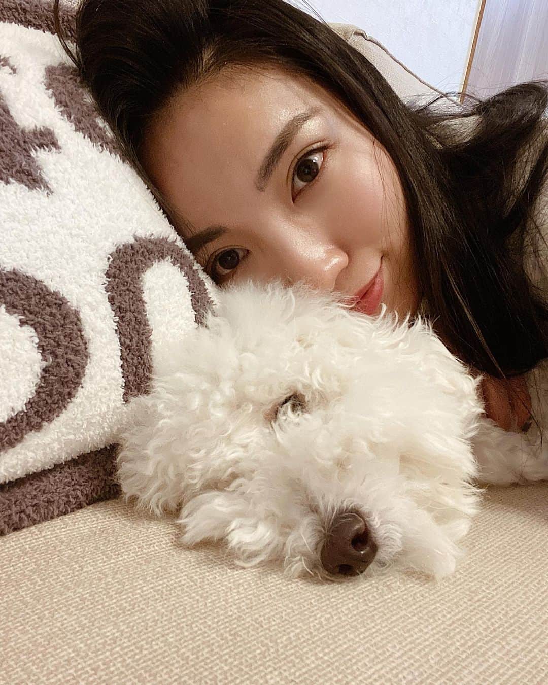 吉田愛璃のインスタグラム：「teddyくん、そろそろ散髪なw  #トイプードル男の子 #もふもふ犬 #いぬすたぐらむ #gn #💤」