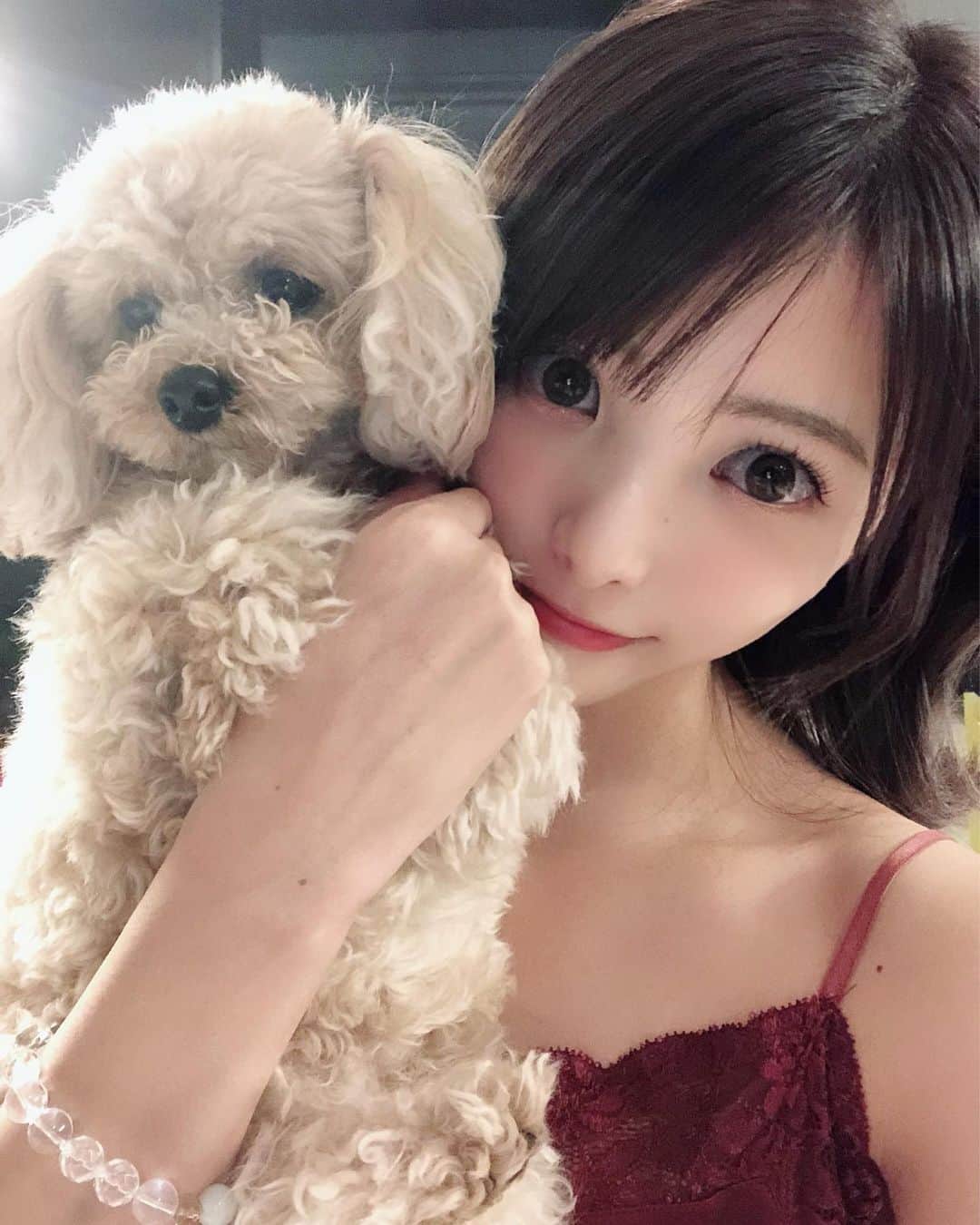 岡田栞奈のインスタグラム：「娘ちゃん💓 性格はこの子が私似で もう1人のちわわちゃんが旦那さん似(笑) 24時間体力知らずで 人がとっても大好きです💓w #トイプードル #いぬのいる暮らし  #愛犬との暮らし #愛犬 #親バカ #たれめちゃん」