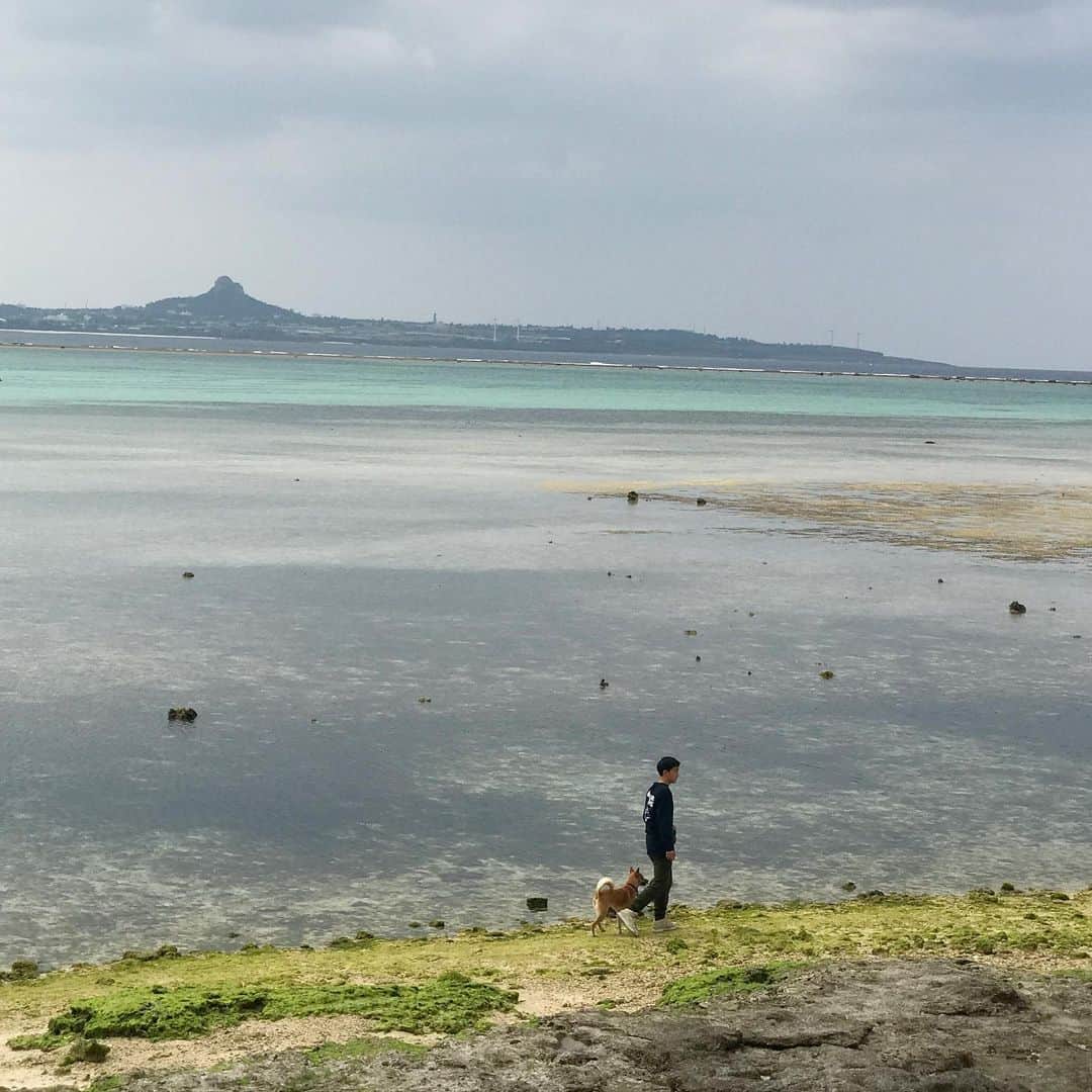 藤代冥砂さんのインスタグラム写真 - (藤代冥砂Instagram)「沖縄観光な祝日。 本部(モトブ)の備瀬へ。 身長は父に並んだ14歳龍之介。 アグネスは変わらず。。 遠くを見るのがいいねえ。  #備瀬　#沖縄　#本部　#」2月11日 20時29分 - meisafujishiro