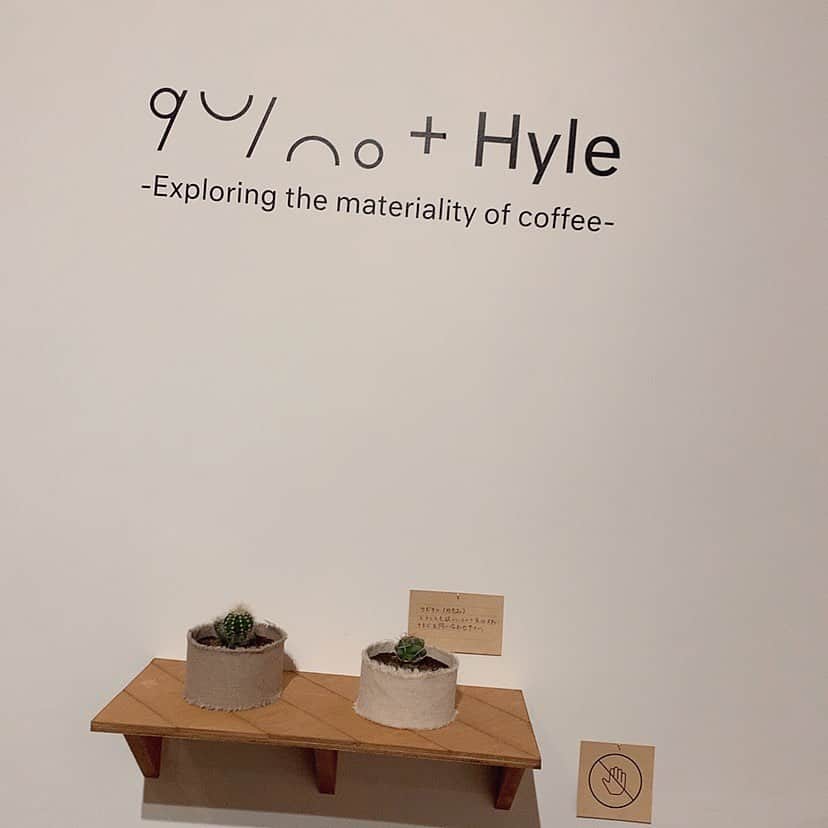 ななせ結衣のインスタグラム：「木野園子さん @kinosonoko  が やってらっしゃるqui no（キノ）の﻿ 展示に遊びに行かせていただきました‪\♡︎/︎﻿ ﻿ 昔からInstagramを拝見させていただいて﻿ 初めてお会いできました😢﻿ 嬉しすぎて挙動不審になった、、、(´･_･`)﻿ ﻿ すごくお綺麗でふんわりした雰囲気で﻿ 本当に拝見させていただいてた通りの方で﻿ 私も本当に木野さんみたいな女性に﻿ なりたいなと憧れが増してしまいました🥺﻿ ﻿ めっちゃくっちゃ可愛い﻿ お花ゲットしたので撮影が楽しみ♡♡﻿ ﻿ 木野さんありがとうございました☺︎﻿ ﻿ #quino #キノ #flower﻿ #flowerstagram #お花 #花 #アレンジメント﻿ #gravureidol #photography  #glamour #gravure #asian#asianbeauty#Japanese#girl#instagood #ig#ig_japan#igers#picoftheday  #얼스타그램#일본#섹시#일상#소통#팔로우#赞 #美容好きな人と繋がりたい」