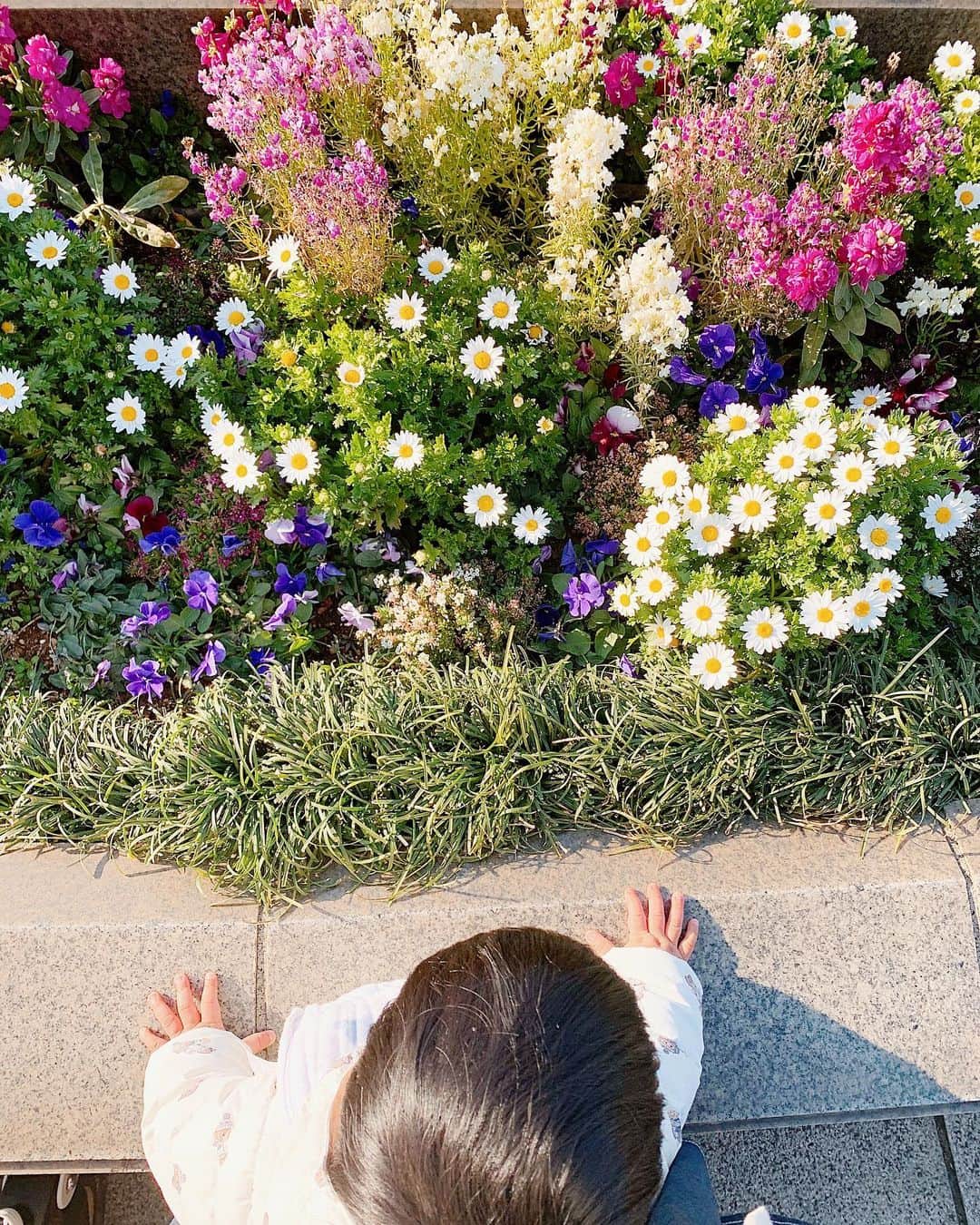 中田絵里奈さんのインスタグラム写真 - (中田絵里奈Instagram)「. 今日は横浜へ🚢 お花いっぱいでもう春みたいでした🌸 . 昔から旅好きなので海を見るとどこか行きたくなります☺️⚓️ . 今年は @buyma_travel .さんのアンバサダーをさせていただくことになったのでどこか行けたらいいな✈︎ . まだまだどこへ行こうか計画中ですがオリジナルのツアーや旅を組み立てられるという素敵なサービスのようなのでまたお得な情報などシェアさせていただきます😊⛵️ . . #横浜 #山下公園 #みなとみらい #海 #vaniller #buymatravel #buymatravel公認アンバサダー」2月11日 22時23分 - erinanakata