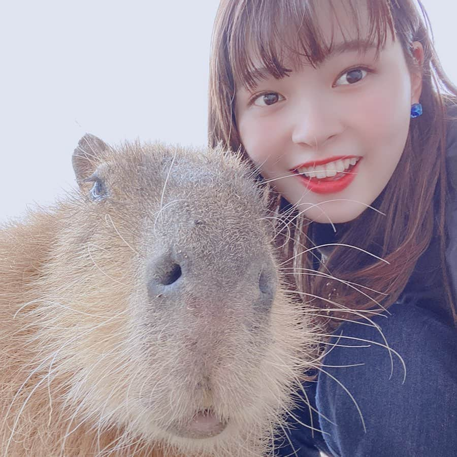 佐野来実さんのインスタグラム写真 - (佐野来実Instagram)「動物が好きです。 シマリスを飼いたい🐿」2月11日 22時29分 - misstodai201802