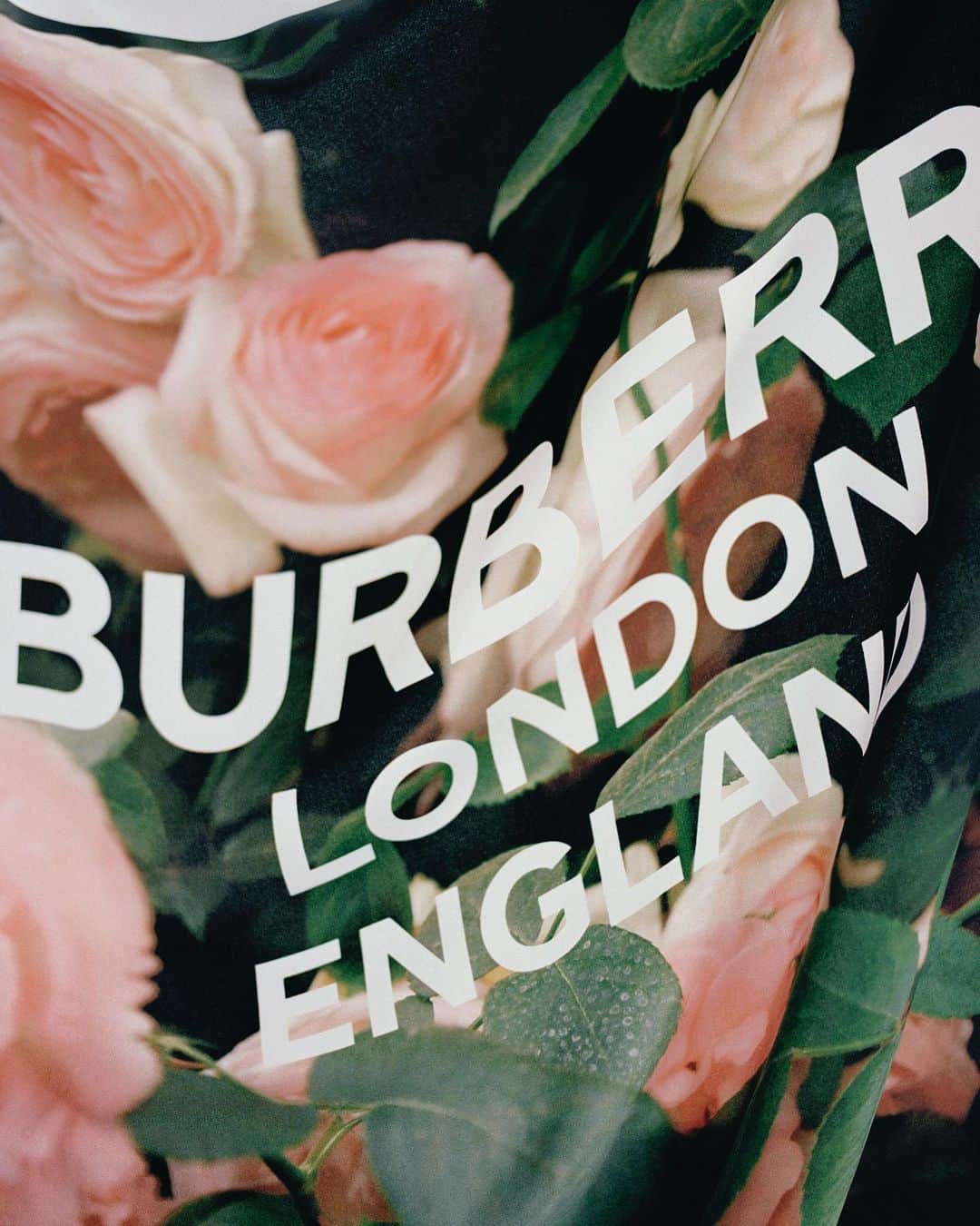 Burberryさんのインスタグラム写真 - (BurberryInstagram)「The Floral Print Silk Scarf . A woven silk and twill scarf printed with roses photographed at the RHS Chelsea Flower Show, finished with the #Burberry logo . #BurberryGifts」2月12日 0時11分 - burberry