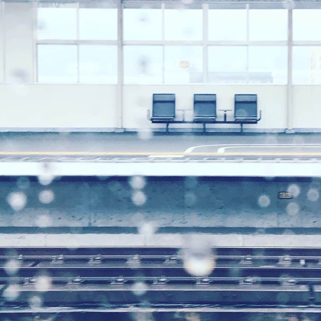 新居昭乃のインスタグラム：「雨雲のほうへ」