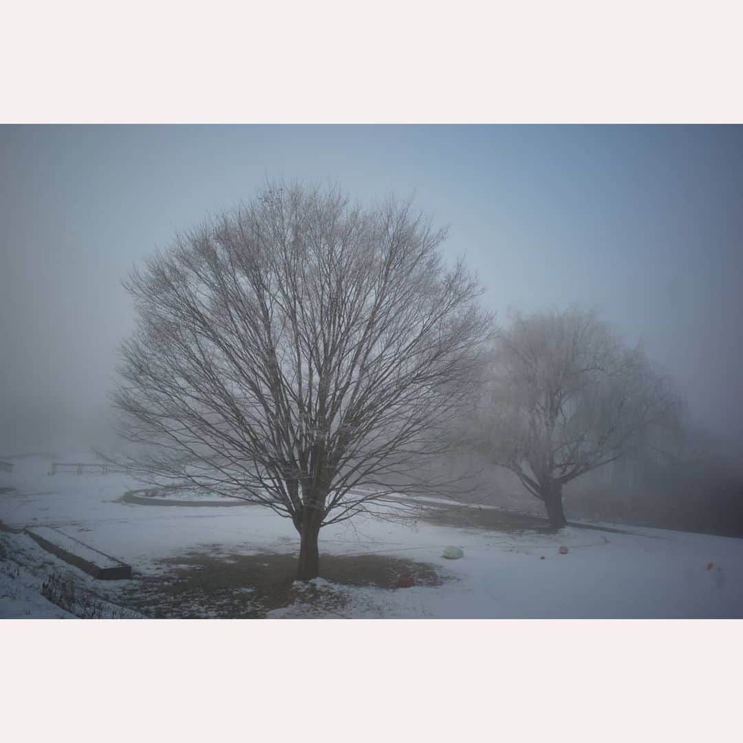 花澄さんのインスタグラム写真 - (花澄Instagram)「今朝はとても寒かった！ 川沿いは靄で真っ白。  #leica#leicam10p#ライカ#ライカm10p#tokyo#japan#grlens#28mm#grlens28mm#喜多方」2月12日 12時20分 - textisan