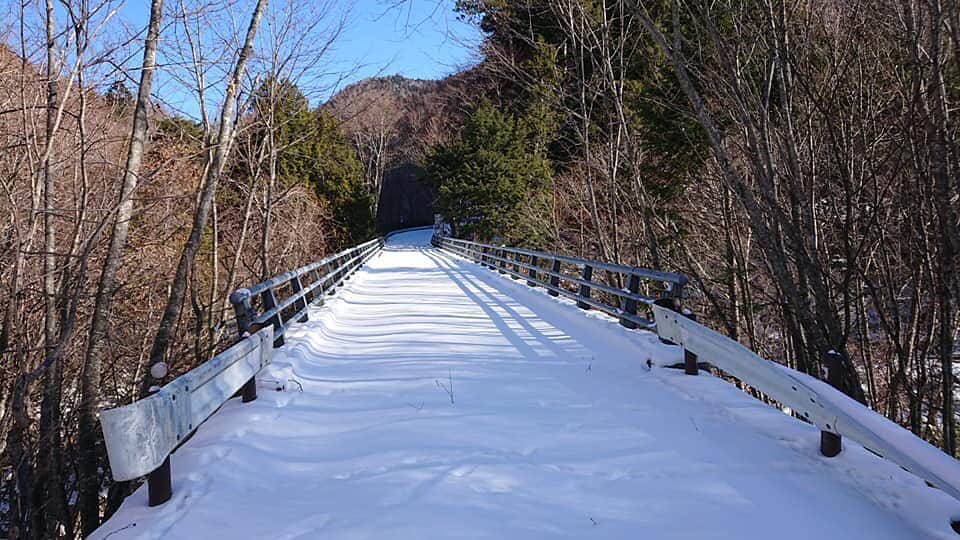 尾瀬旅のインスタグラム：「ここは尾瀬の端。雪道のキャンバスに落ちる影。(初冬） photo by H.Miyazawa  #尾瀬とtepco　#ozextreme　#尾瀬 #oze #尾瀬旅　#discoveroze  #igtravel #instagramjapan  #山が好きな人と繋がりたい  #ファインダー越しの私の世界　 #japantrip #旅の思い出　 #旅好き　#traveljapan　#綺麗な景色　 #かわいい　#美しい　#自然　 #誰かに見せたい景色 #travel　#travelgram #旅行好きな人と繋がりたい　#自然好き #自然好き　#ハイキング　#hike #はじっこ #ふぉと #landscape #travelxp #road」