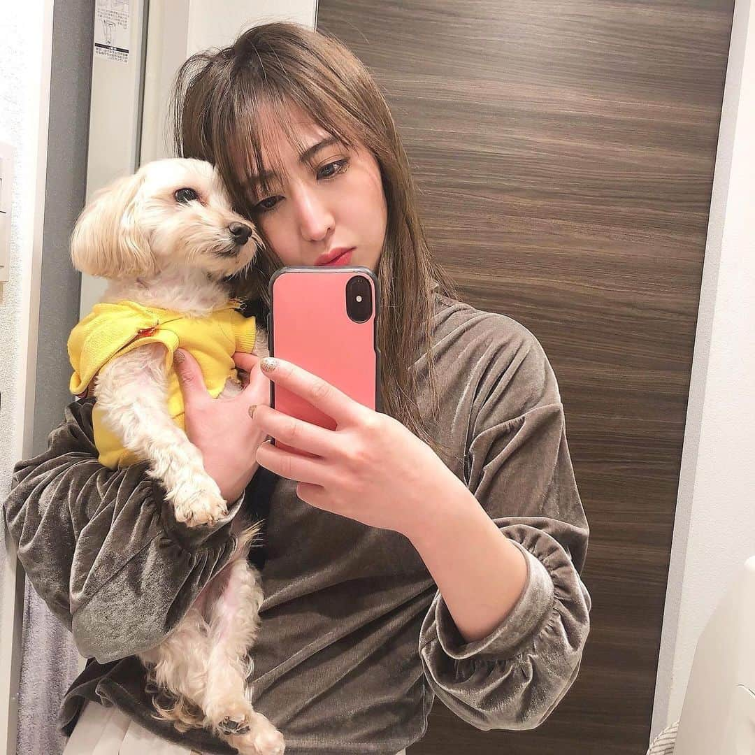 古都かなのインスタグラム：「僕コロちゃん🐕愛してる😘💕もうすぐバレンタインだね❤️チョコ食べたい🍫 #愛犬 #僕コロちゃん #バレンタイン #コロン#フラコロ #愛してる #チョコレート #食べたい #らぶ❤️」