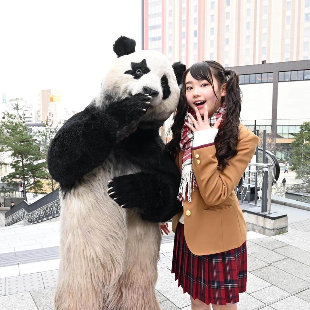 星星（セイセイ）さんのインスタグラム写真 - (星星（セイセイ）Instagram)「🤭 . #Oops! #しまった！ #星星 #パンダ #panda #pandagram #パンダ好きな人と繋がりたい #レイア #相方 #ZIP!」2月12日 8時35分 - seisei_panda