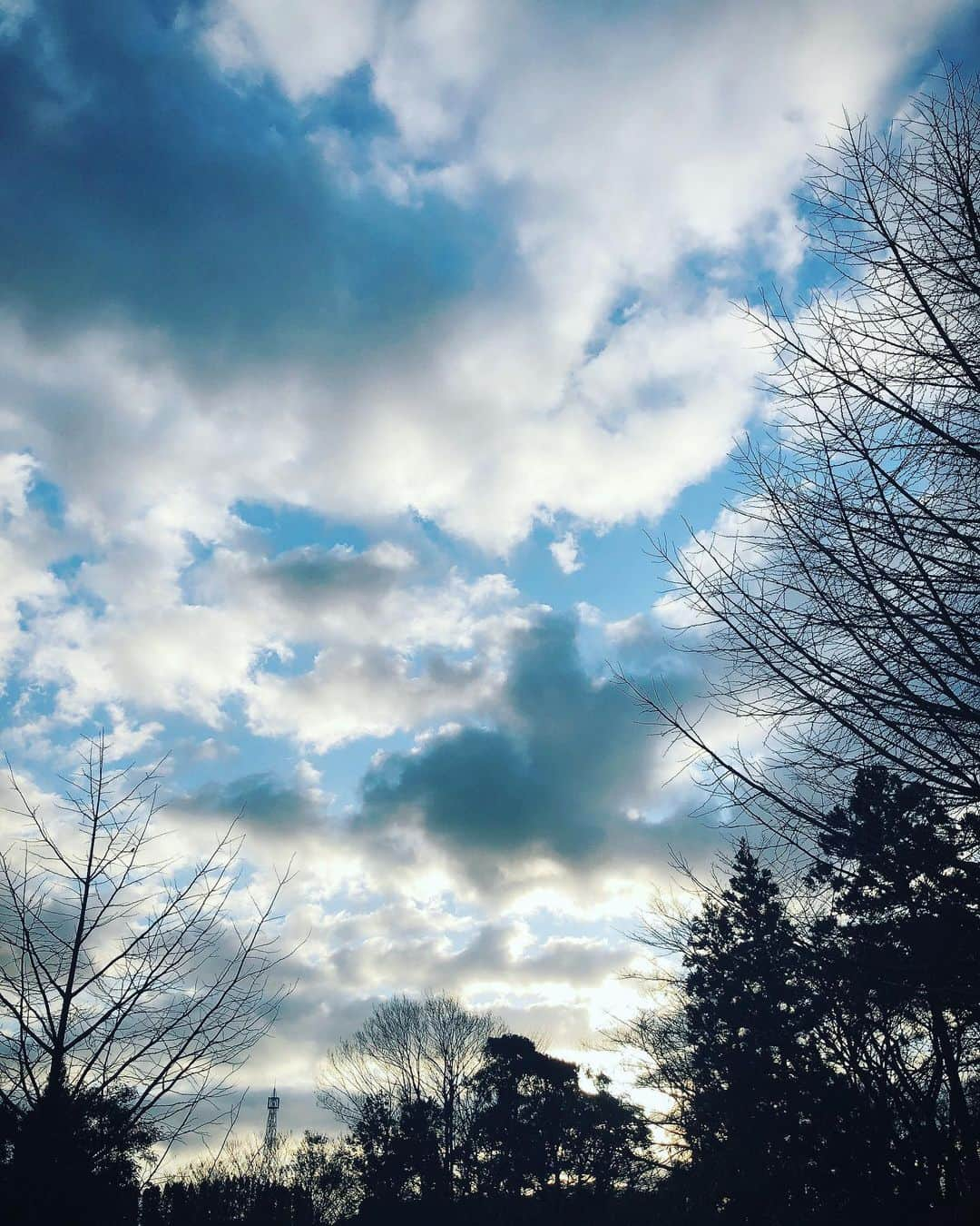 YUUKIさんのインスタグラム写真 - (YUUKIInstagram)「朝活。 日の出と朝散歩☆  #photography #photooftheday #blue #sky #nature #winter #instagood #happy #朝活 #散歩 #青空 #美活 #健康第一 #リフレッシュ #清々しい朝」2月12日 9時45分 - yuuki_._official