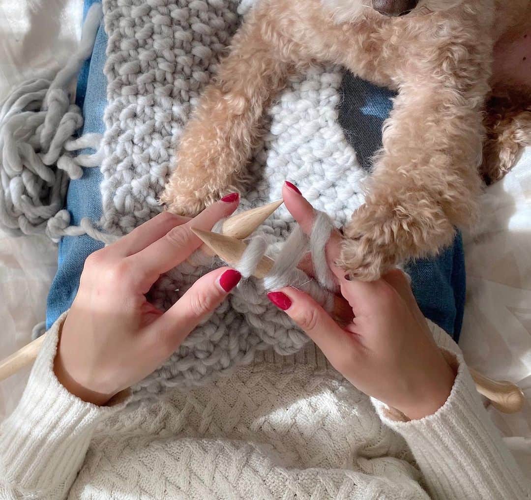 大西暁子さんのインスタグラム写真 - (大西暁子Instagram)「ふわふわのスヌード編んでたら﻿ ふわふわなやつがヤキモチ焼いてくる😂🐶﻿ ﻿ 可愛いやつめ！❤️❤️❤️❤️﻿ ﻿ あっという間に完成間近🧶﻿ 終わりの淋しさを感じながらあみあみしてます🥺✨﻿ ﻿ @weareknitters  #weareknitters #snood #編み物　#wool100% #toypoo100% #気分が乗って動画に音楽さえつけちゃうやつ。笑」2月12日 10時12分 - akiko_onishi11